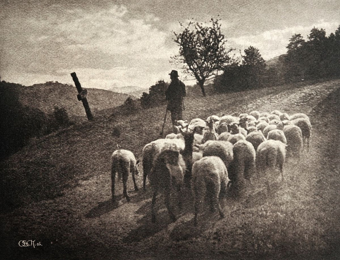 De la terre à la tenue : L'héritage vivant des fibres européennes